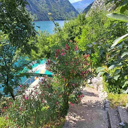 Mostar House *